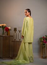 Shaista-Monocrome Green Silk Organza Cutwork Kurta Dupatta Set - Image 3