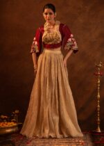 Aureate-Cape Style Embroidered Tissue Skirt Set