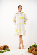 Bow Collar Lobster Shirt-Dress